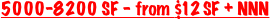 shapeimage_7_link_0